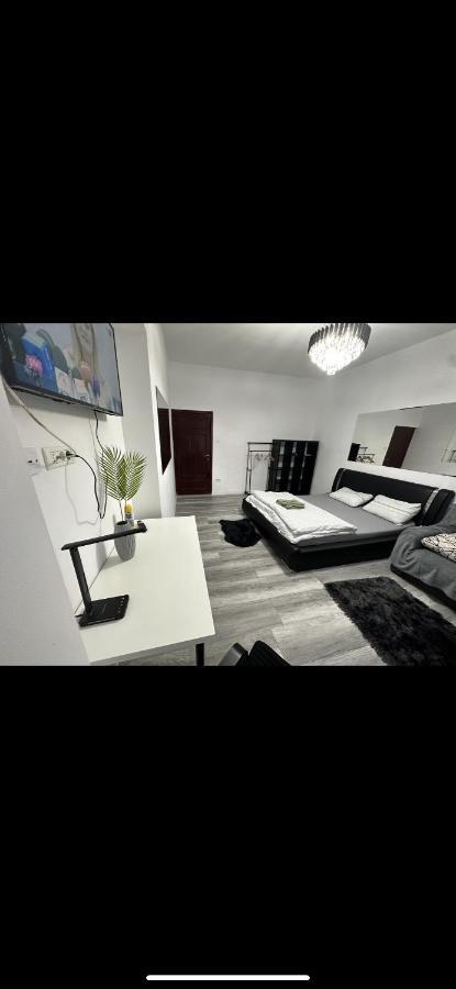 Piata Libertatii Apartament 1 Room Timişoara Exterior foto